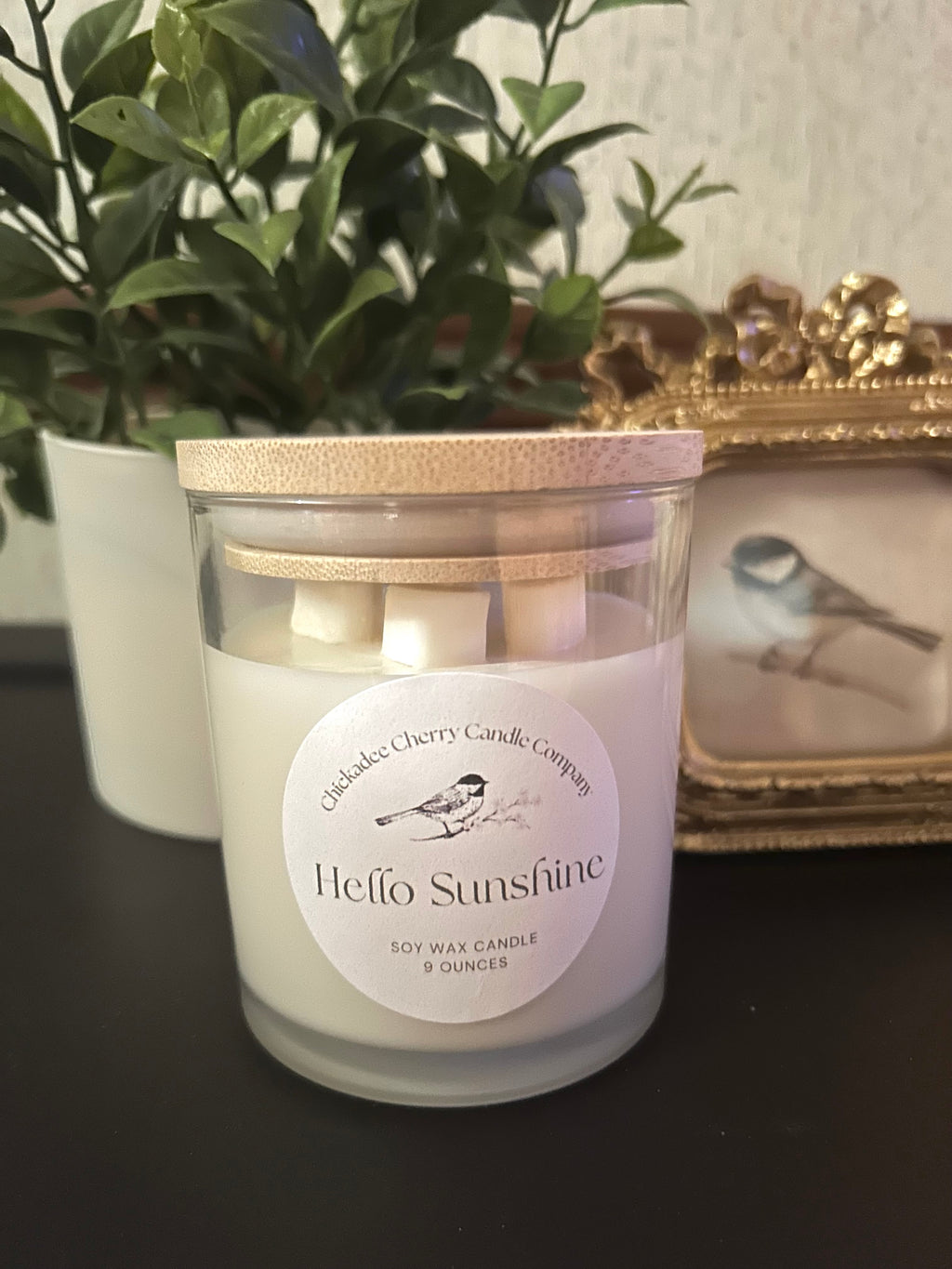 Hello Sunshine 9oz hand-poured soy wax candle | non-toxic