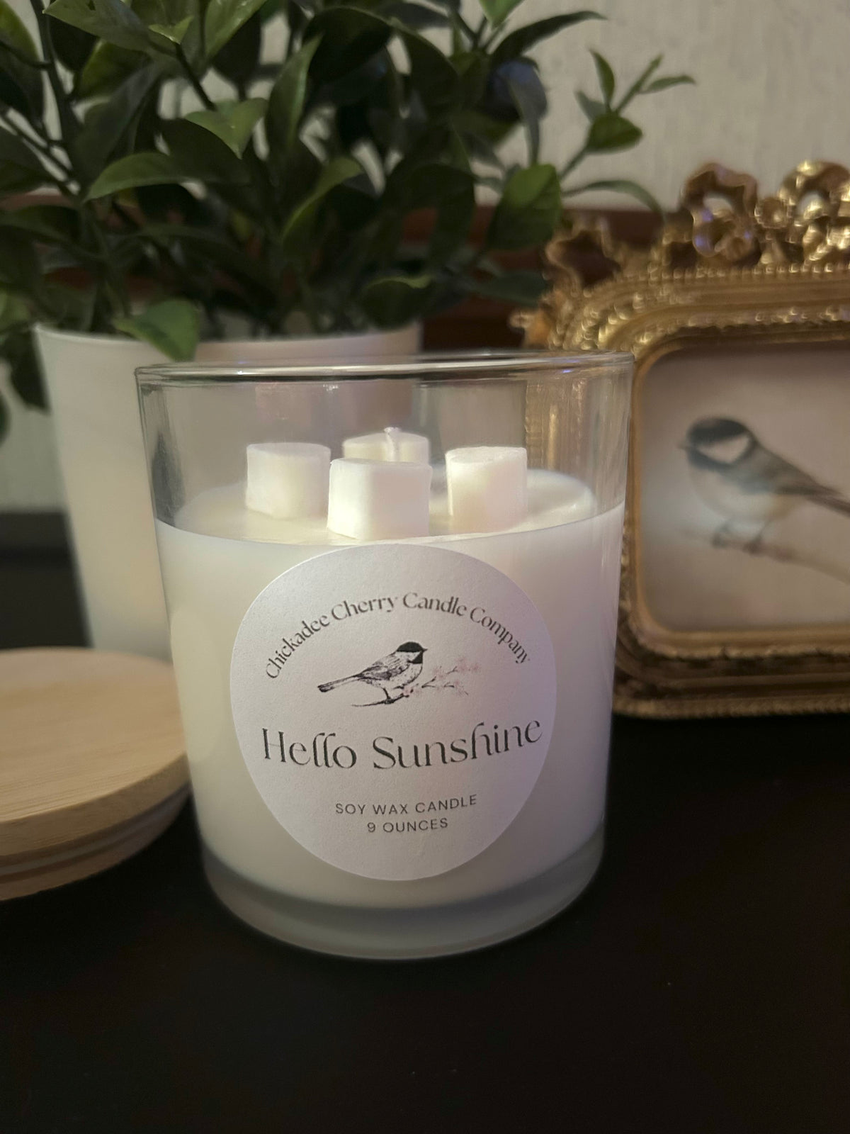 Hello Sunshine 9oz hand-poured soy wax candle | non-toxic